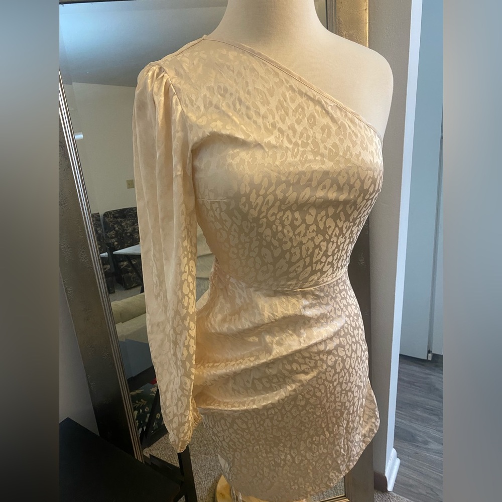 Elegant One-Sleeve Dress